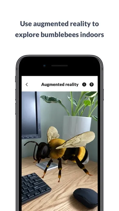 What’s that bumblebee Screenshots