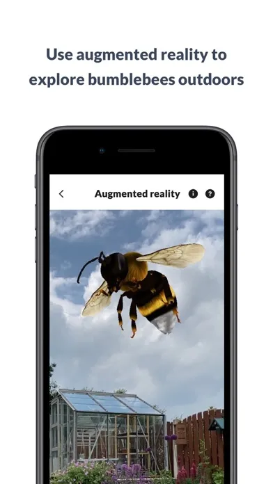What’s that bumblebee Screenshots