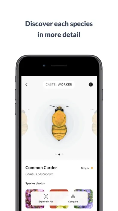 What’s that bumblebee Screenshots
