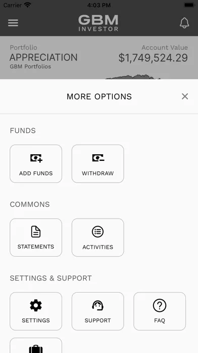 Screenshot di GBM Investor