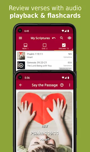 Bible Memory: Remember Me Ekran Görüntüleri