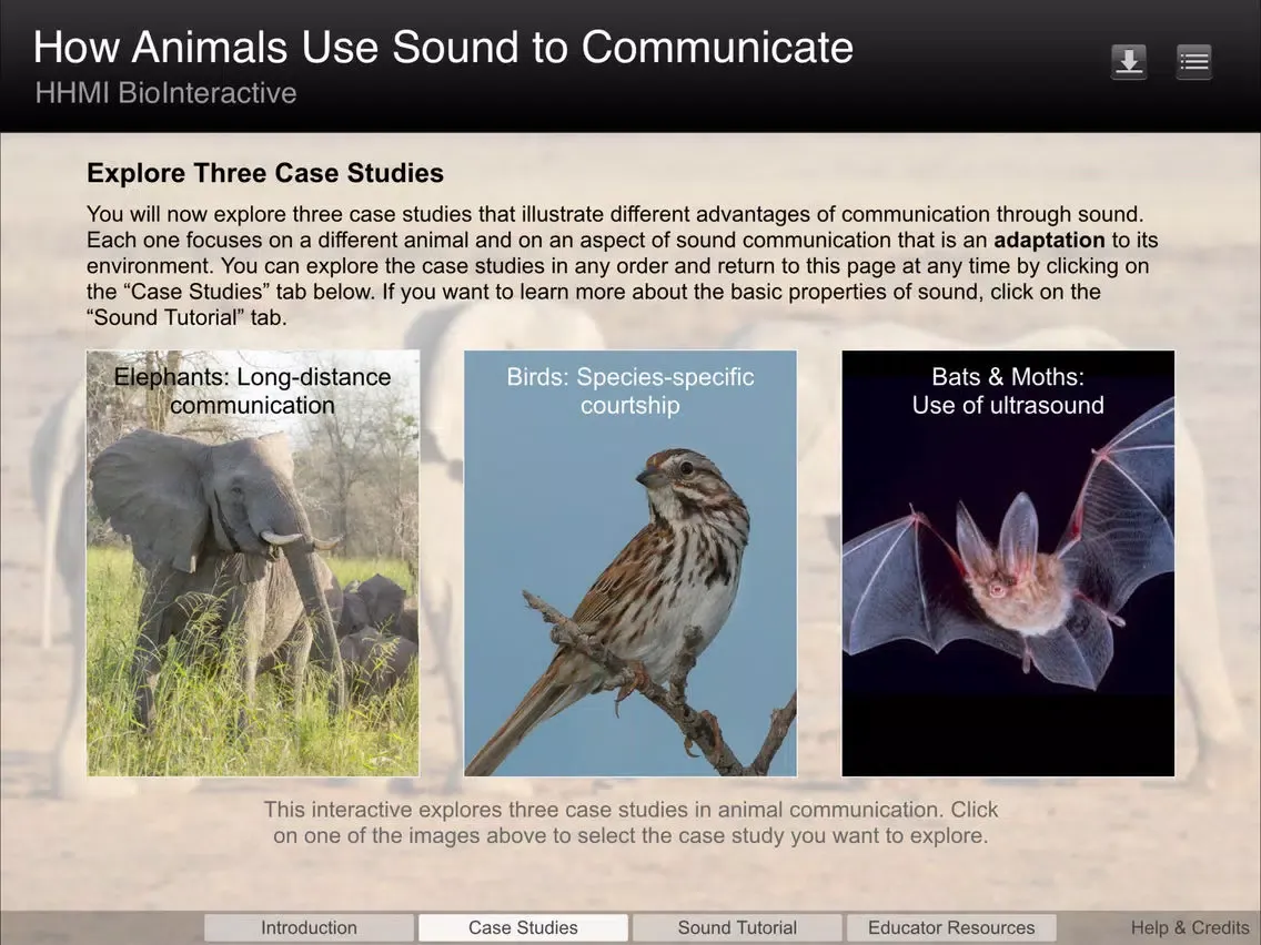 Captures d'écran de Click and Learn iPad 