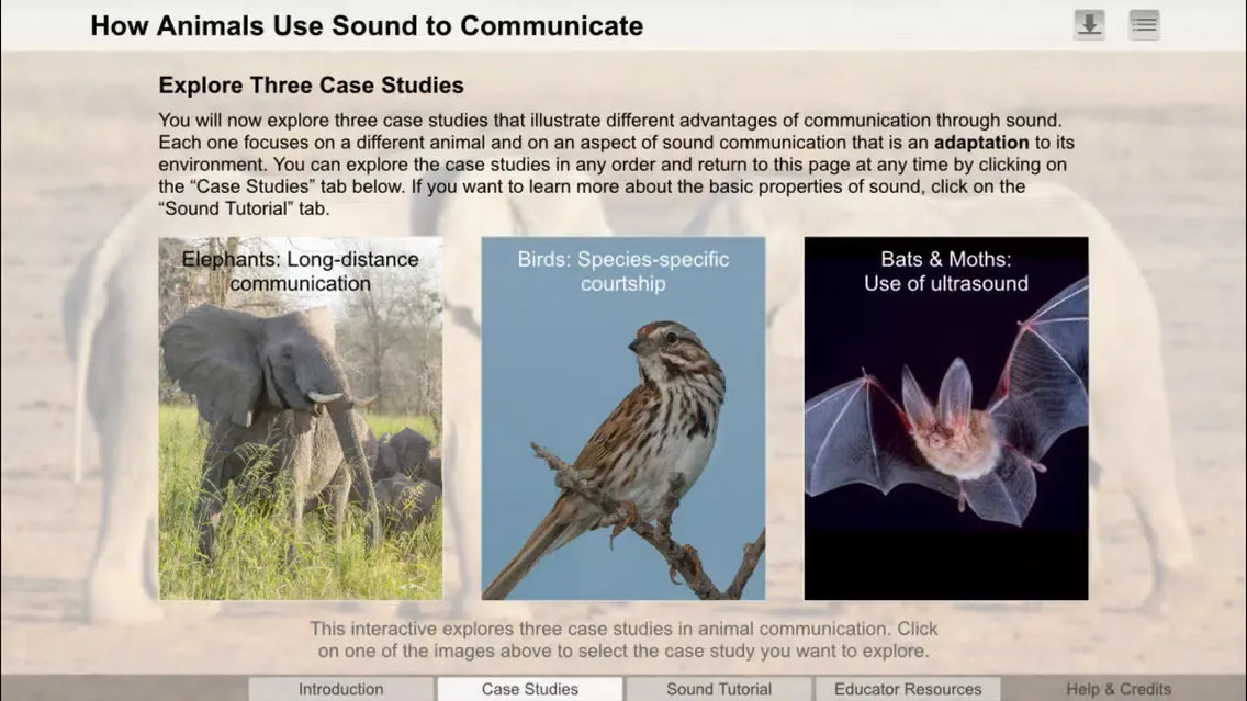 Captures d'écran de Click and Learn