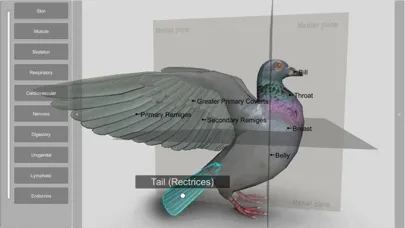 3D Bird Anatomy Screenshots