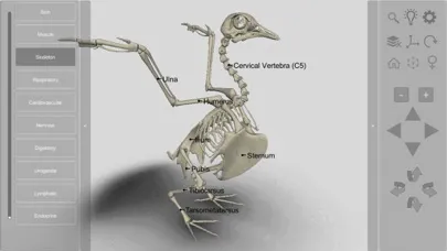 3D Bird Anatomy Screenshots