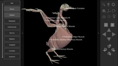 3D Bird Anatomy Screenshots