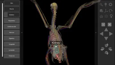 3D Bird Anatomy Screenshots