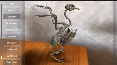 3D Bird Anatomy Screenshots