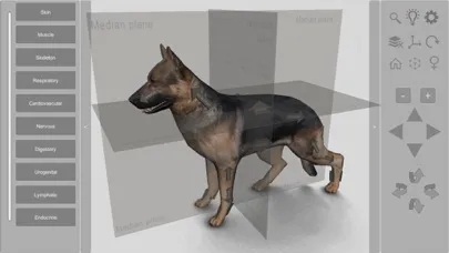 ภาพหน้าจอของ 3D Canine Anatomy