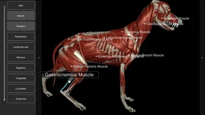 ภาพหน้าจอของ 3D Canine Anatomy