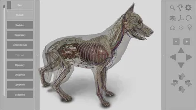 ภาพหน้าจอของ 3D Canine Anatomy