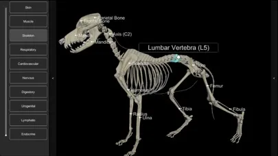 ภาพหน้าจอของ 3D Canine Anatomy
