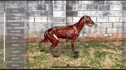 ภาพหน้าจอของ 3D Canine Anatomy