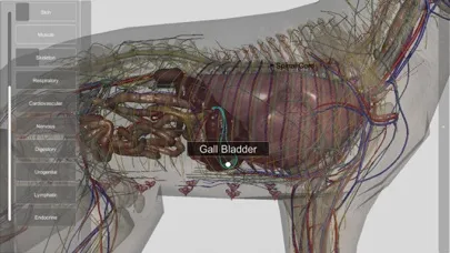 ภาพหน้าจอของ 3D Canine Anatomy