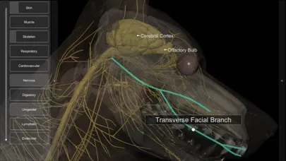 ภาพหน้าจอของ 3D Canine Anatomy