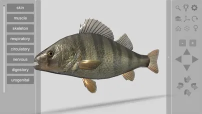 Tangkapan skrin 3D Fish Anatomy