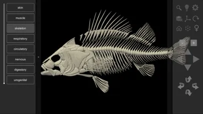 Tangkapan skrin 3D Fish Anatomy