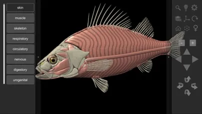 Tangkapan skrin 3D Fish Anatomy