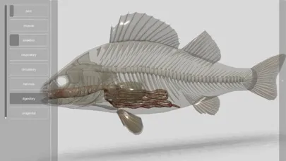 Tangkapan skrin 3D Fish Anatomy
