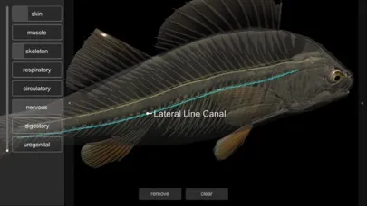 Tangkapan skrin 3D Fish Anatomy