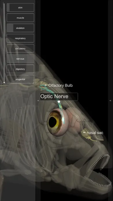 Tangkapan skrin 3D Fish Anatomy