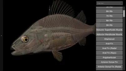 Tangkapan skrin 3D Fish Anatomy