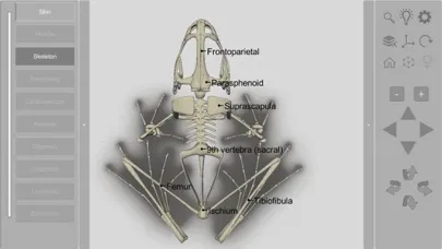 3D Frog Skeleton應用截圖