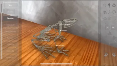 3D Frog Skeleton應用截圖