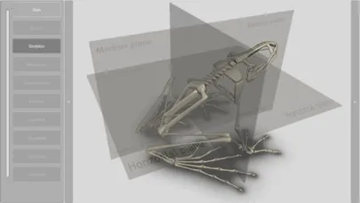 3D Frog Skeleton應用截圖