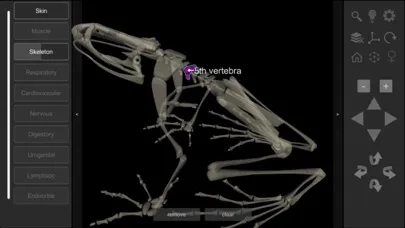 3D Frog Skeleton應用截圖