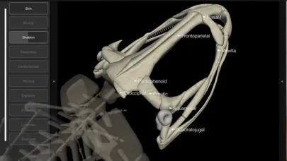 3D Frog Skeleton應用截圖
