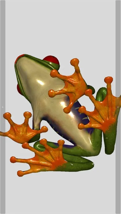 3D Frog Skeleton應用截圖