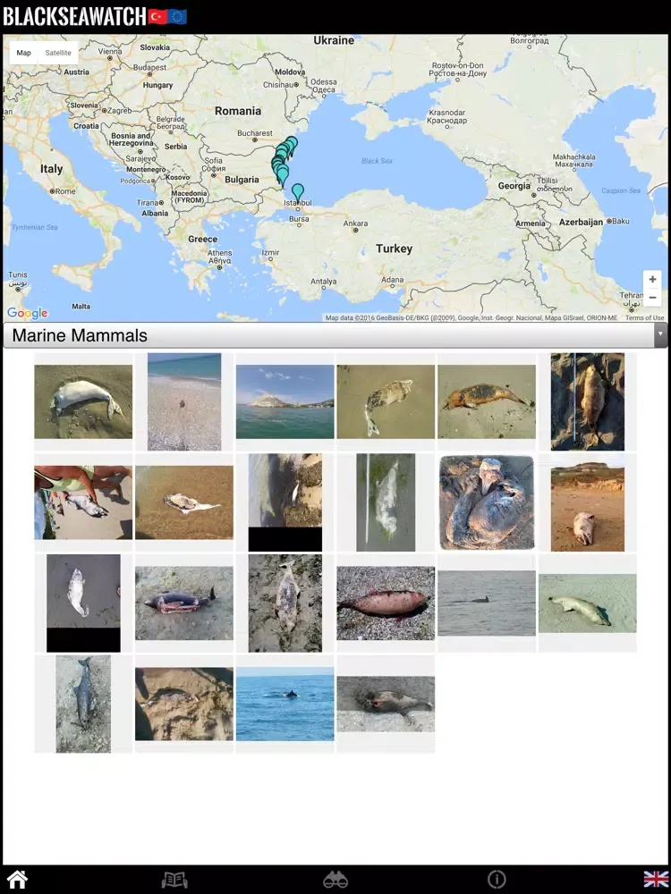 Captures d'écran de Black Sea Watch iPad 