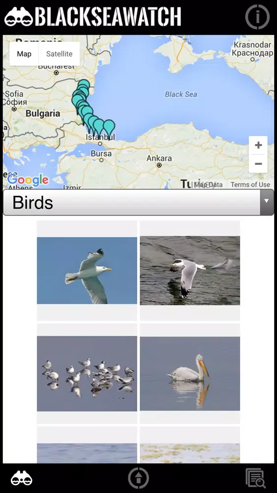 Captures d'écran de Black Sea Watch