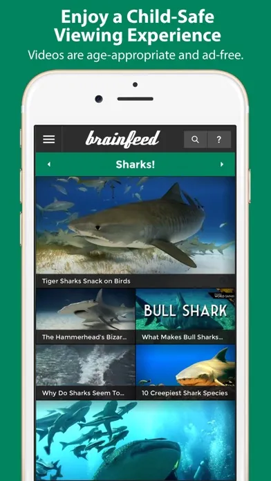 Brainfeed – Educational Videos سکرین شاٹس
