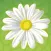 Bryn Mawr School Alumnae App