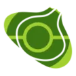 Bulbapedia - Wiki for Pokémon