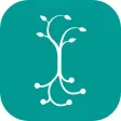 Carnegie Foundation Summit