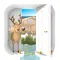Escape Game: Log House
