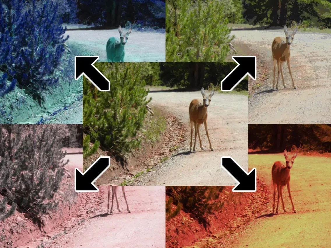 Tangkapan skrin Chameleon Color iPad 