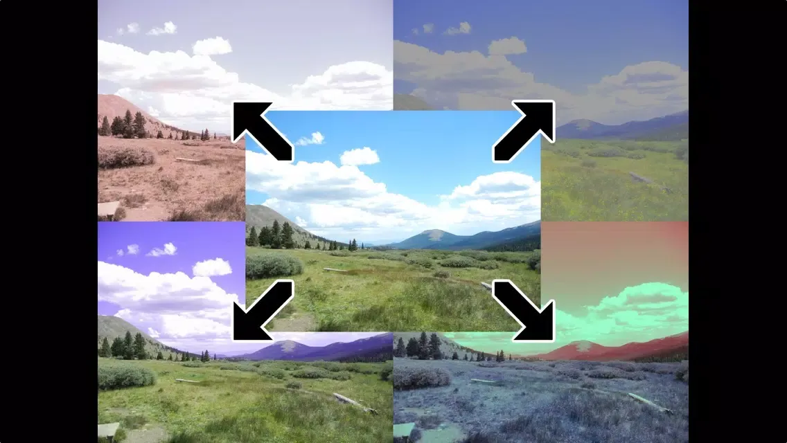 Tangkapan skrin Chameleon Color