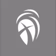 Cottonwood Creek | Allen Cottonwood Creek | Allen