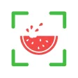 NutriPic: AI Calorie Counter
