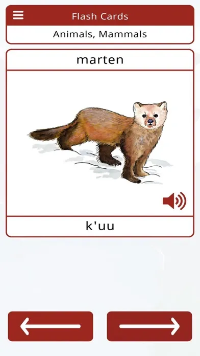 Haida Vocab Builder Screenshots