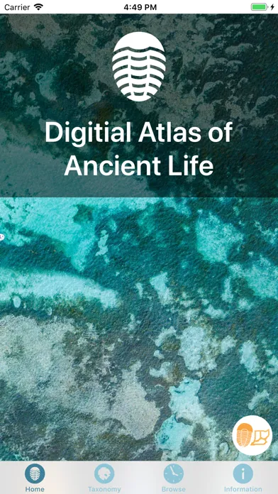 صور Digital Atlas of Ancient Life