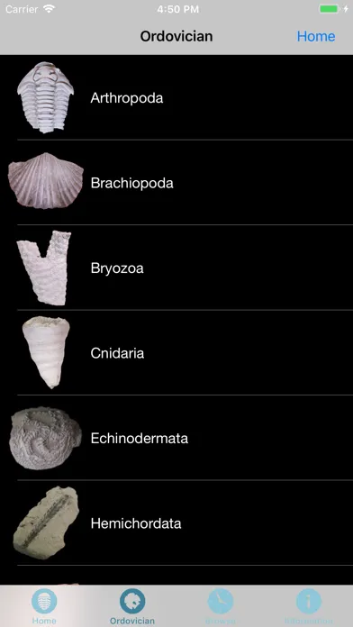 صور Digital Atlas of Ancient Life