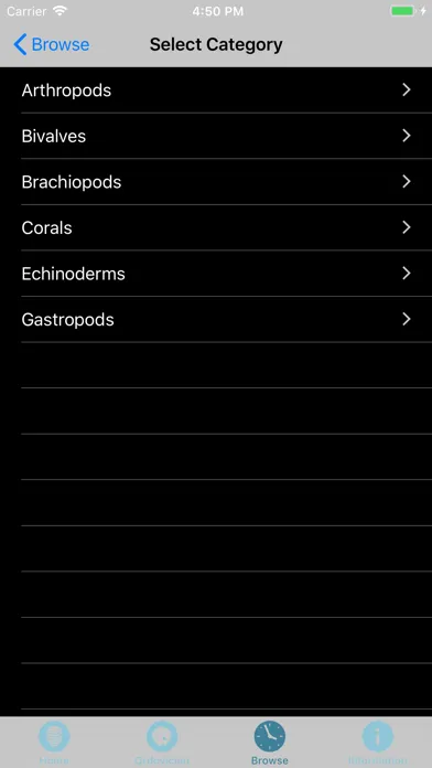 صور Digital Atlas of Ancient Life
