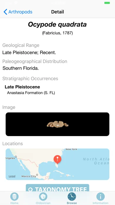 صور Digital Atlas of Ancient Life