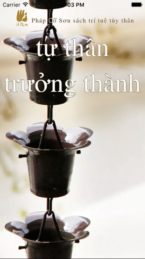 Captures d'écran de Sự trưởng thành của bản thân