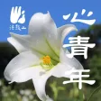 心青年–法鼓山